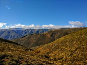 clone tag: -7122342041713946403