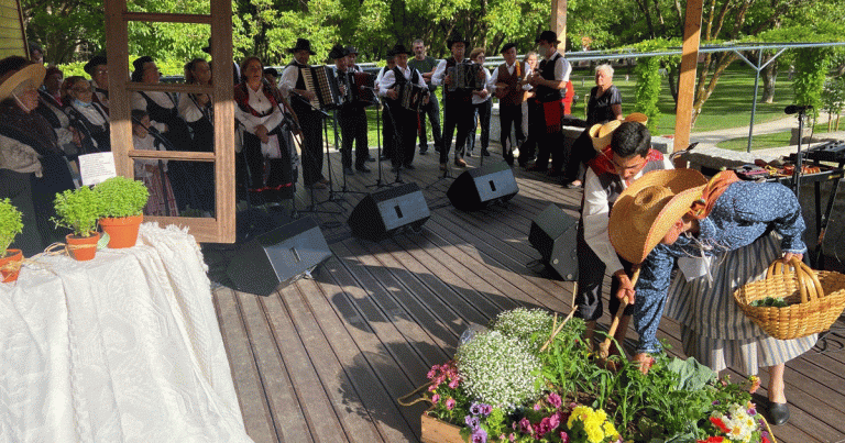 Read more about the article Raizadas S. Pedro do Sul – Rancho Folclórico  Carvalhais e Candal.