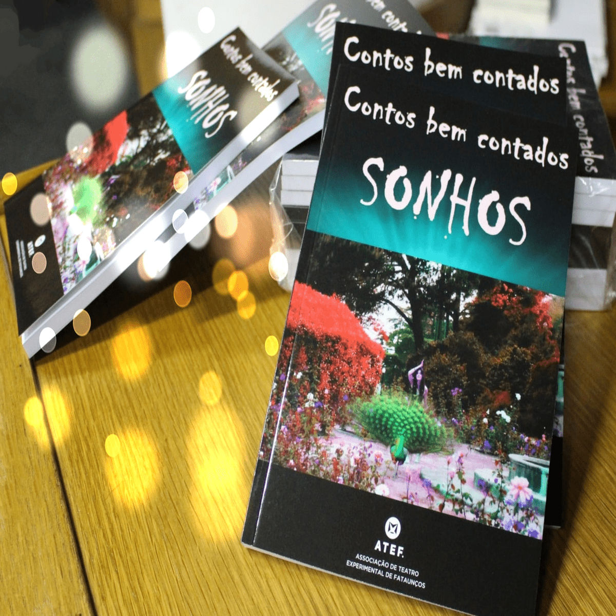 Read more about the article Livro “Contos bem contados: Sonhos” chega a Viseu